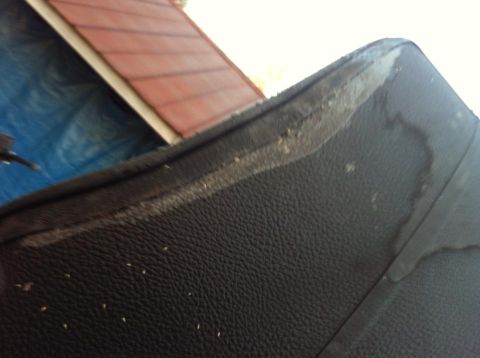1979 Ford Ranchero - Close-up of worn black leather interior upholstery with debris and water stains.