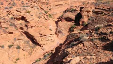 1994 Ford Bronco - A dry desert canyon carved by water erosion, layered red rock formations and scattered desert plants.