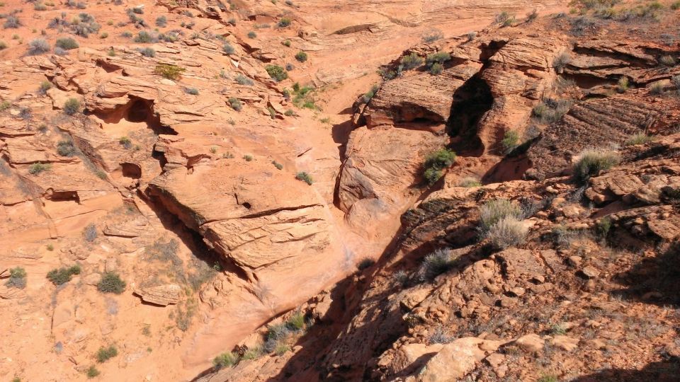 Desert canyon with red rock formations and sparse vegetation. Water erosion visible