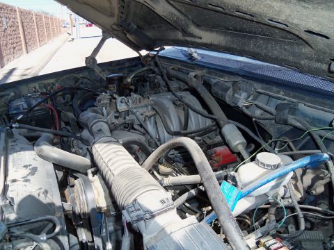 1989 Ford Bronco - The engine bay of a 1989 Ford Bronco is shown with the hood raised.