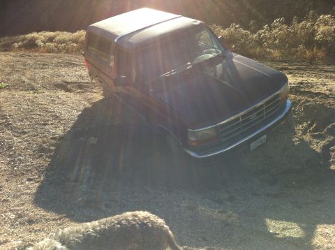 1996 Ford Bronco photo