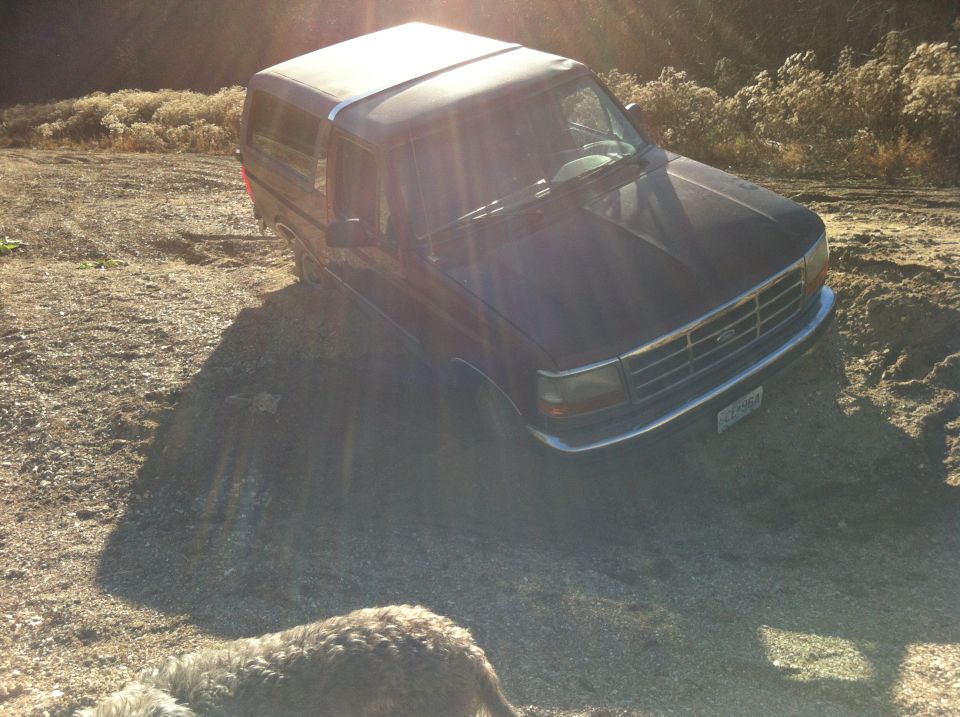 1996 Ford Bronco parked on a dirt slope with a dog in the foreground