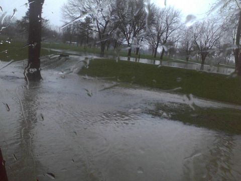 2003 Ford Crown Victoria - A park scene with significant flooding, viewed through a window with raindrops.