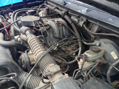 1996 Ford Bronco photo