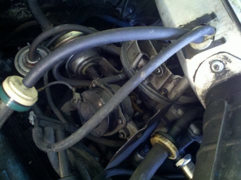 1978 Ford Bronco - Close-up view of engine components, including a carburetor and various hoses, likely part of a motor rebuild.