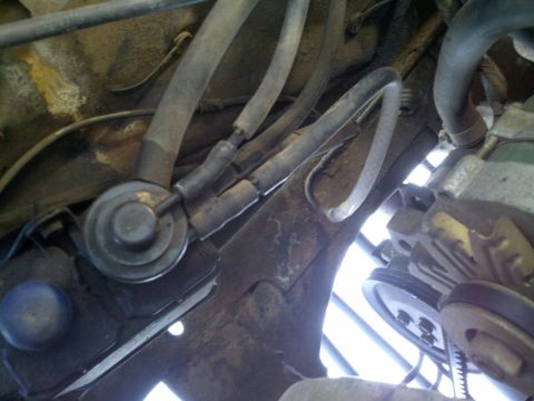 1978 Ford Bronco - Close-up view of engine hoses and a valve assembly, showing signs of wear and rust.