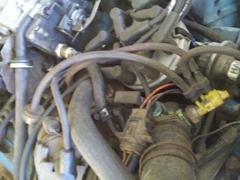 1978 Ford Bronco - Close-up view of a vehicle's engine bay, showing a carburetor and numerous spark plug wires.
