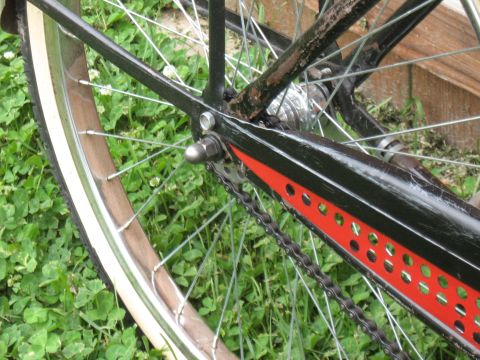 1994 Ford Bronco - Close-up of a bicycle's rear wheel and chain drive system, set against a grassy background.