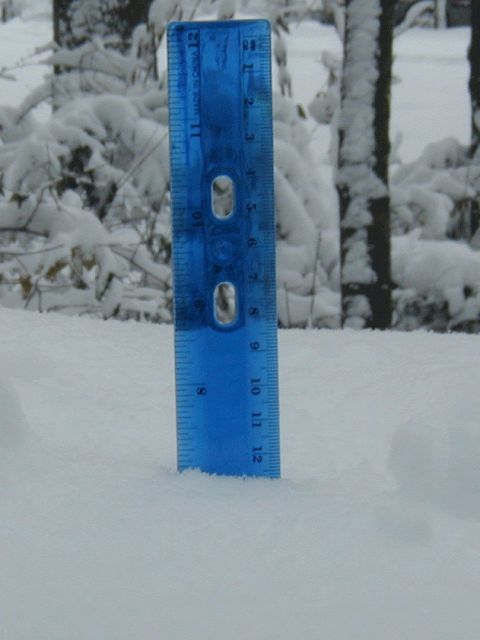 1998 Ford Taurus - A blue signpost stands out against a snow-covered background, likely marking a location in a winter scene.