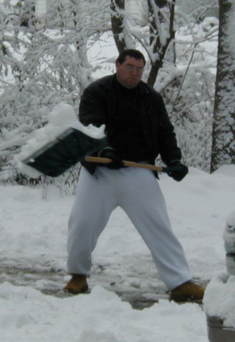 1998 Ford Taurus - A man is shoveling snow in a winter scene with trees covered in snow.