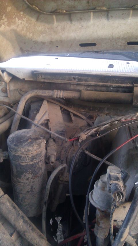 1995 Ford Bronco - Close-up view of engine bay components, including hoses and wiring.