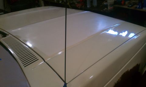 1991 Chevrolet S10 - The hood and fender of a truck are shown, with an antenna mounted on the hood.