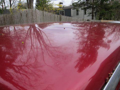 1991 Ford LTD Crown Victoria - Tree reflections on a car's red roof, with a wooden fence and houses in the background.