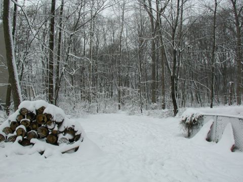 1998 Ford Taurus - A winter scene shows a pile of logs covered in snow next to a chain-link fence.