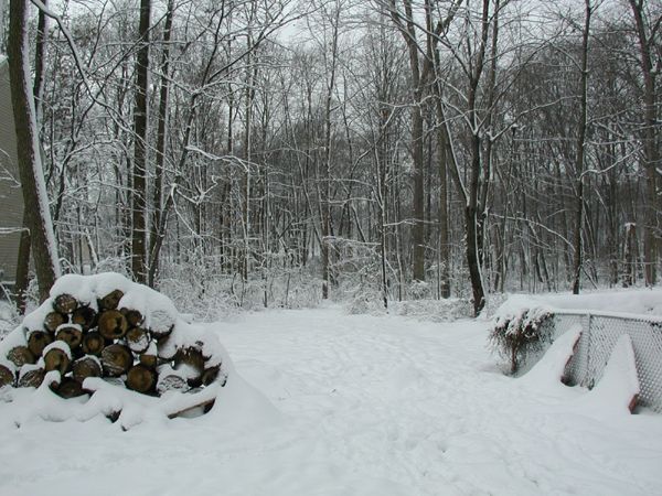 Snowy backyard scene with a pile of logs and a fence