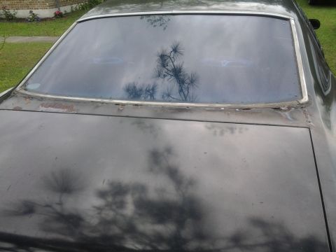 1975 Chevrolet Chevelle - The rear window and trunk lid of a dark-colored car show signs of rust around the window trim.