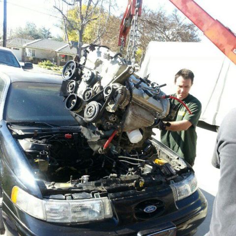 1992 Ford Taurus photo