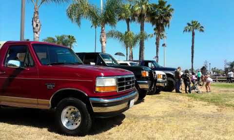 1994 Ford Bronco - Several Ford Broncos and trucks are lined up under a clear blue sky with palm trees in the background.