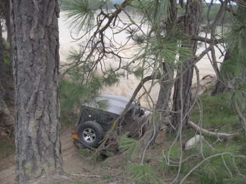 2005 Jeep Wrangler - A dark Jeep Wrangler navigates a sandy trail, viewed from an elevated position amongst pine trees.