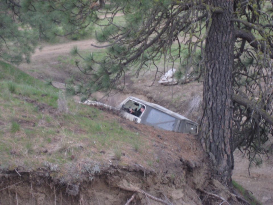 Off-road vehicle tilted in a ditch, partially obscured by trees and brush