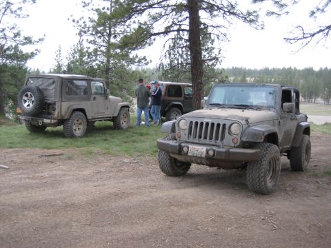 2005 Jeep Wrangler - Three Jeep Wranglers are parked in a wooded area, with people gathered around one of them.