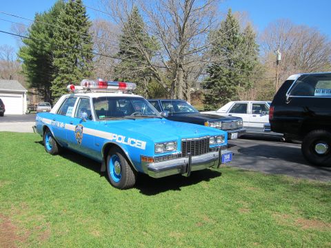 1991 Ford LTD Crown Victoria - A blue and white police car with 'POLICE' text and a light bar is parked on a lawn.