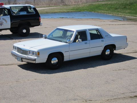 1991 Ford LTD Crown Victoria - A white sedan is parked next to a police SUV on a paved surface with a body of water in the background.