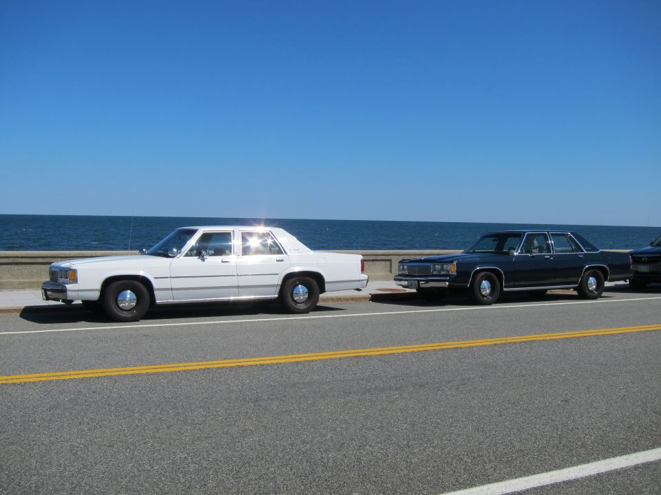 White and dark sedans parked side-by-side near the ocean on a sunny day