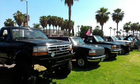1994 Ford Bronco - Several Ford trucks are parked on a grassy field under palm trees on a sunny day.