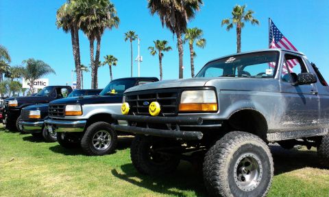 1994 Ford Bronco - Several Ford Broncos are lined up on a grassy area under a clear blue sky with palm trees.