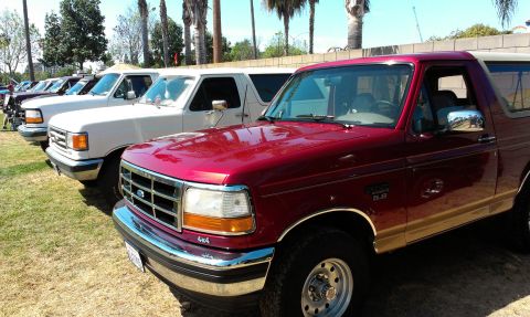 1994 Ford Bronco - Several Ford Broncos are parked in a row on a sunny day.