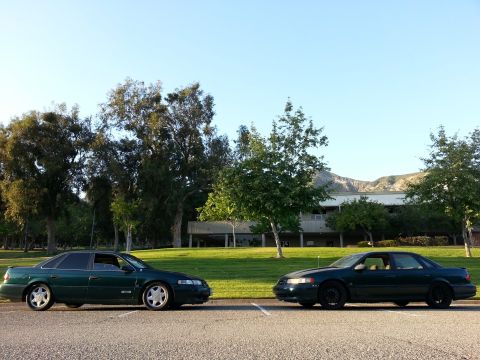 1995 Ford Taurus - Two dark green 1995 Ford Tauruses are parked next to each other on a sunny day with trees and a building in the background.