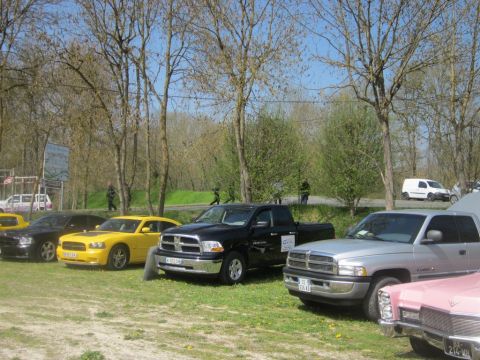 1991 Ford LTD Crown Victoria - A collection of vehicles are parked on a grassy area under a bright sky with trees in the background.