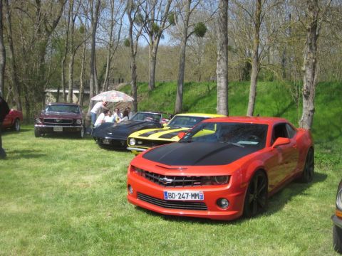 1991 Ford LTD Crown Victoria - A red Chevrolet Camaro with a black hood is parked on the grass, with other classic cars in the background.