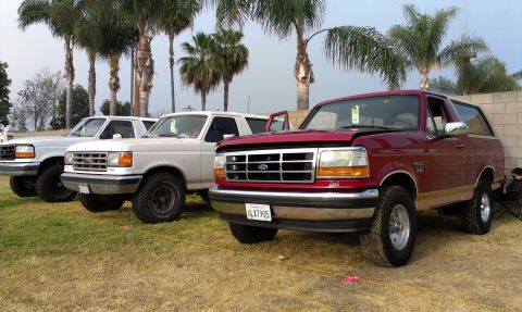 1994 Ford Bronco - Three Ford Bronco SUVs are lined up on a grassy area with palm trees in the background.