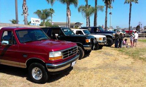 1994 Ford Bronco - Several Ford trucks, including a red Bronco, are parked outdoors under palm trees.