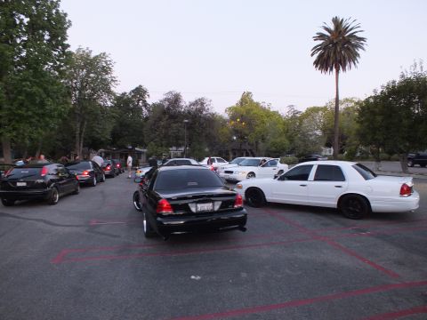 2003 Ford Crown Victoria - Row of black and white full-size Ford sedans lined up in a parking lot during an evening meet