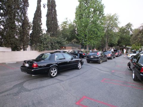 2003 Ford Crown Victoria - Several black full-size Ford sedans parked in a row along cypress trees at an evening gathering