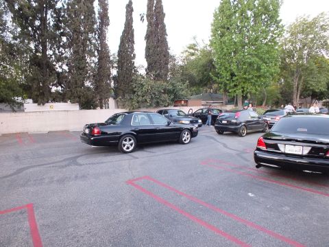 2003 Ford Crown Victoria - Cluster of black full-size Ford sedans parked near cypress trees during an evening car meet