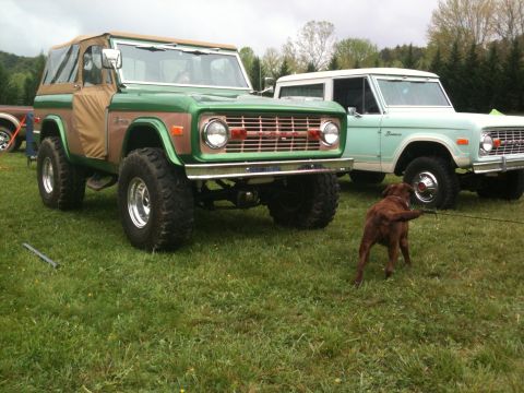 1992 Ford Bronco - Two classic Ford Broncos are parked side-by-side on a grassy field with a dog in the foreground.