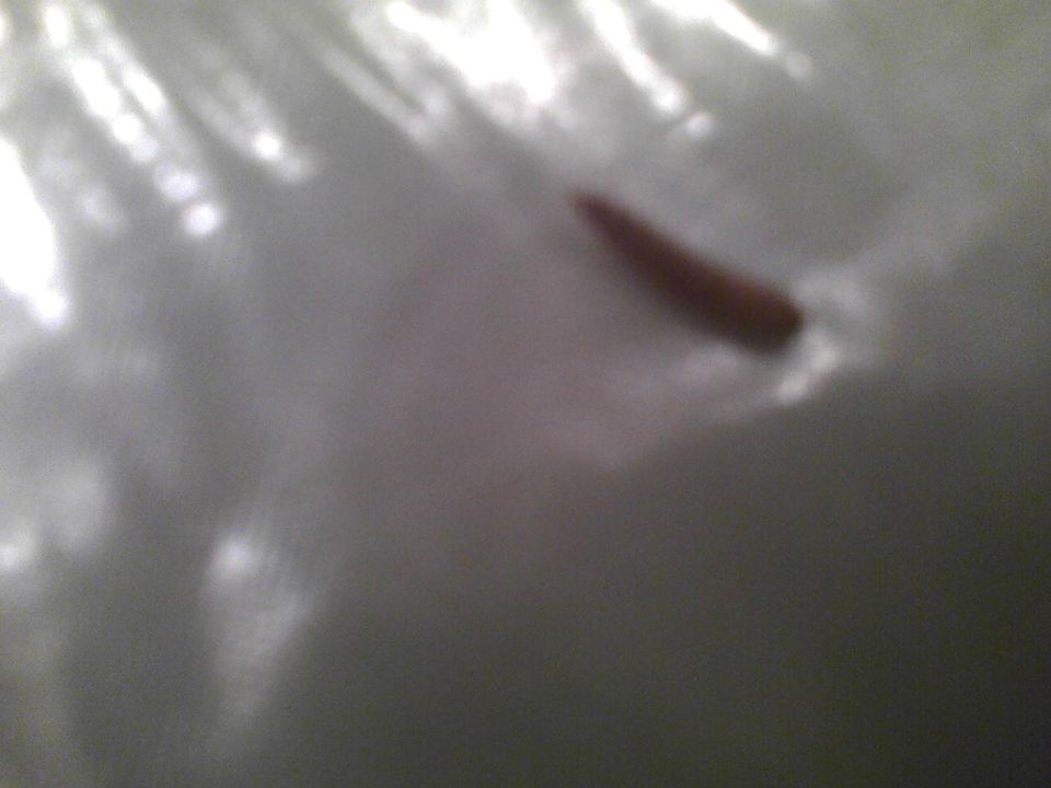 Close-up of a brown object, possibly a car part, against a blurry background with light reflections