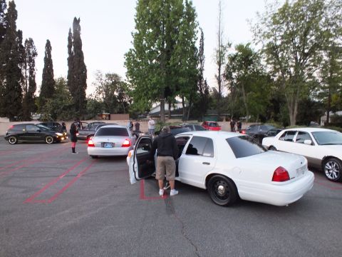 2003 Ford Crown Victoria - Man opens the door of a white Crown Victoria among other cars in a tree-lined parking lot
