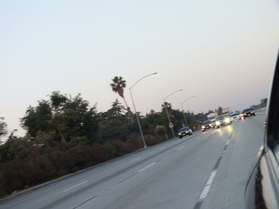 Cars with headlights on driving a freeway at dusk past palm trees and street lamps