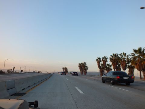 2003 Ford Crown Victoria - Black sedan travels a twilight freeway as palm trees line the right edge against an orange sky.