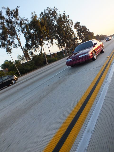 2003 Ford Crown Victoria - maroon full-size sedan cruises the freeway with eucalyptus trees lining the shoulder.
