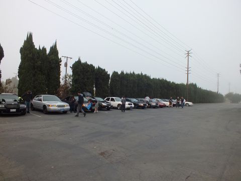 2003 Ford Crown Victoria - Lineup of parked cars along a hedge of evergreens on a hazy gray morning.