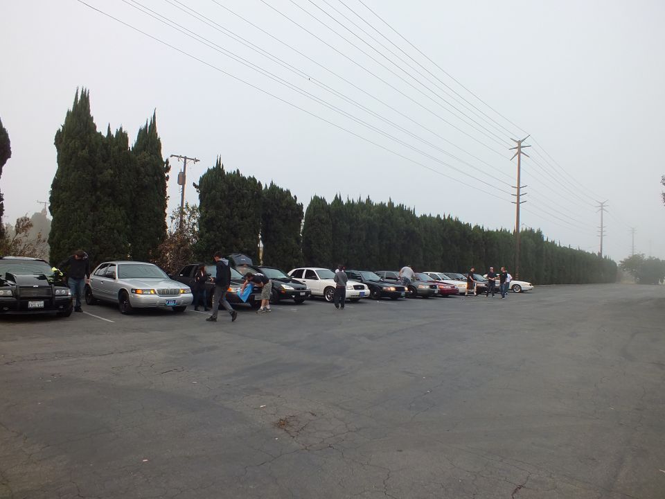 Row of sedans parked in foggy lot beside tall cypress trees with people walking