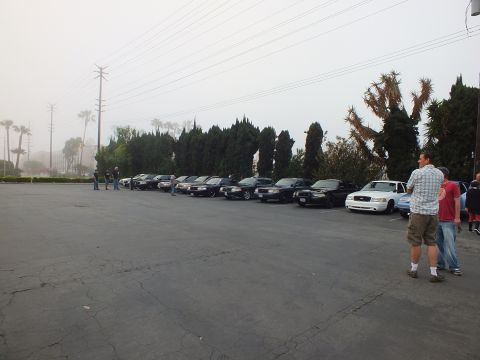 2003 Ford Crown Victoria - Cars staged in a line across a cracked asphalt lot under heavy morning fog.