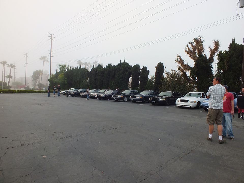 Diagonal row of dark sedans and one white car parked in foggy lot, men in foreground
