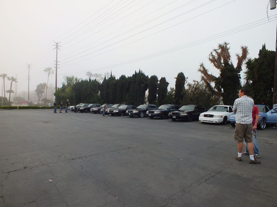 Row of parked sedans along cypress hedge in misty lot, two men watching nearby